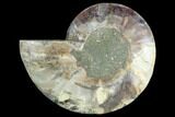 Agatized Ammonite Fossil (Half) - Madagascar #125063-1